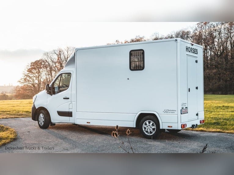 Pferdetransporter-DT 2-Ride Renault Master light 3,5t Neufahrzeug Horsevan Horsetruck B-Führerschein