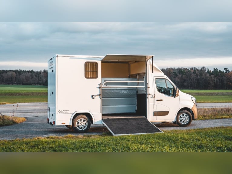 Pferdetransporter-DT 2-Ride Renault Master light 3,5t Neufahrzeug Horsevan Horsetruck B-Führerschein