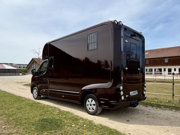Renault 2-Horse Trailer with 5 Seats, Stallion Equipment, Automatic Transmission, New Truck – Immedi