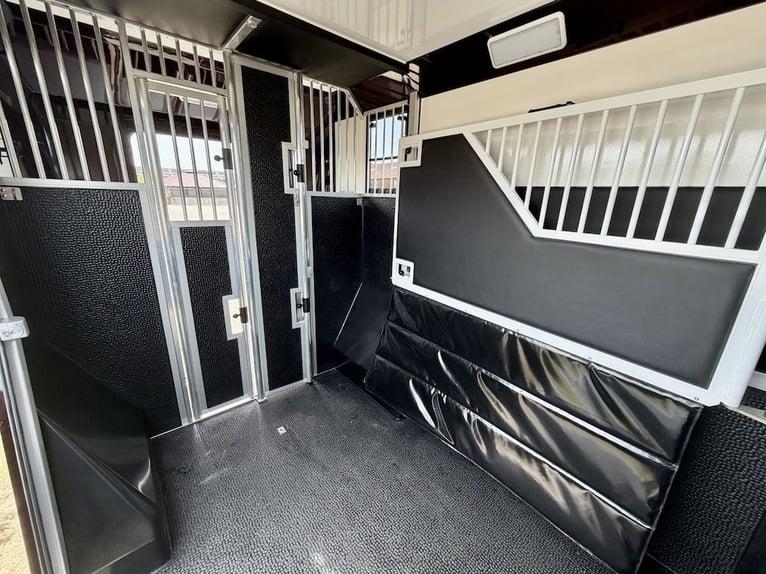 Renault 2-Horse Trailer with 5 Seats, Stallion Equipment, Automatic Transmission, New Truck – Immedi