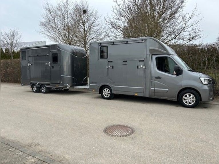 Renault Horsebox Truck with B/E license for towing team, livestock transporter, animal transporter, 