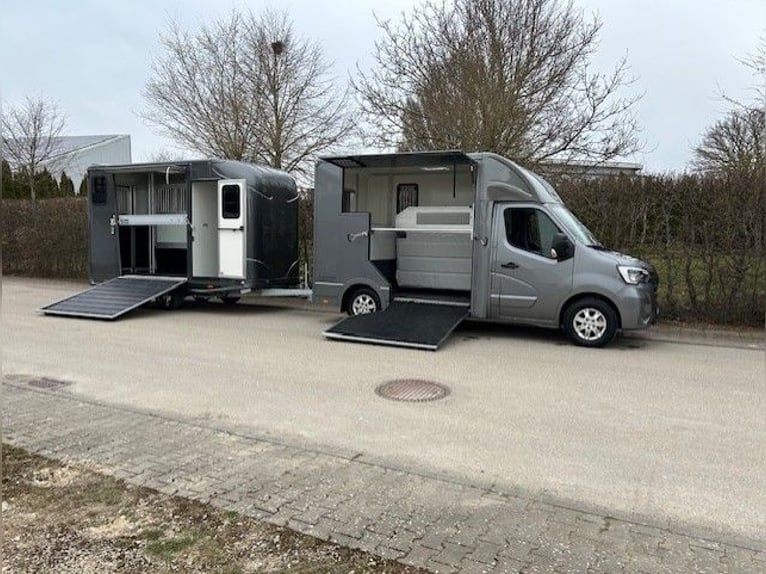 Renault Horsebox Truck with B/E license for towing team, livestock transporter, animal transporter, 