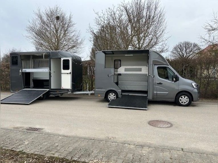 Renault Horsebox Truck with B/E license for towing team, livestock transporter, animal transporter, 