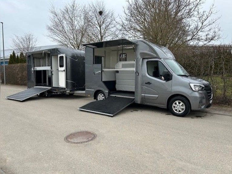 Renault Horsebox Truck with B/E license for towing team, livestock transporter, animal transporter, 
