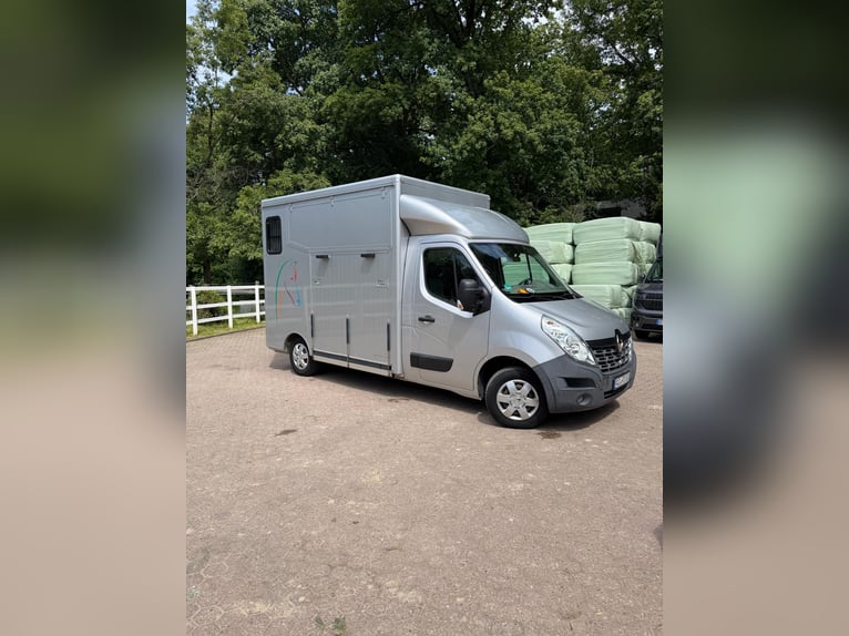 Renault Master 2-Horse Trailer