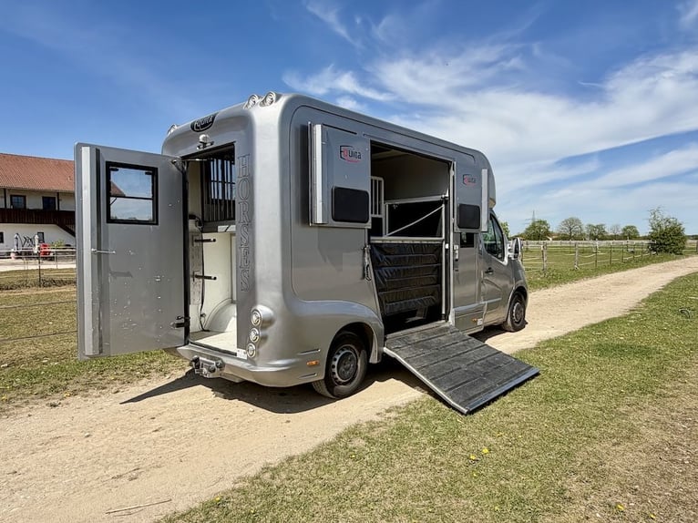 Renault Master EQUITA 2-Horse Transporter, 5-Seater, Automatic – Used Vehicle