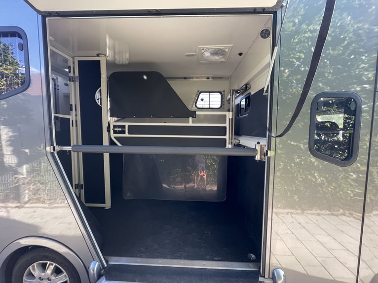 Renault Master Horse Transporter 5 Seats, 3 Beds.