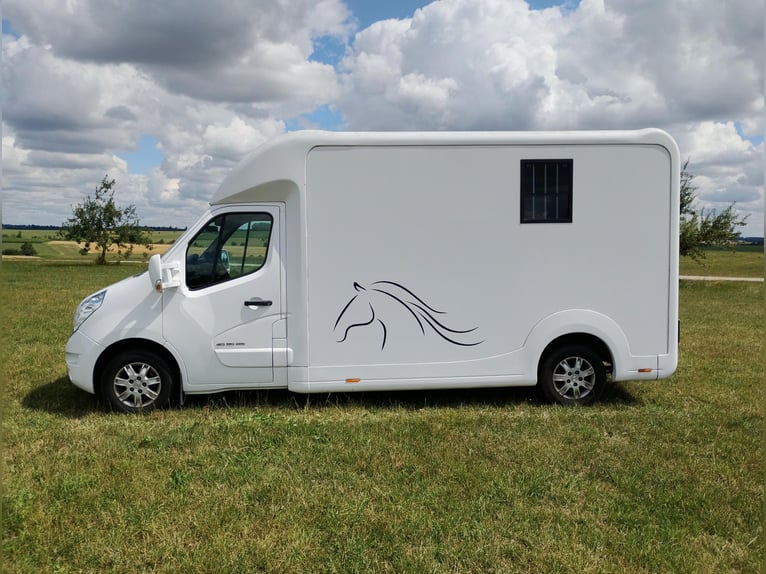 Renault Master Horsebox with automatic transmission, only 35,300 km, 170 HP, livestock transporter,