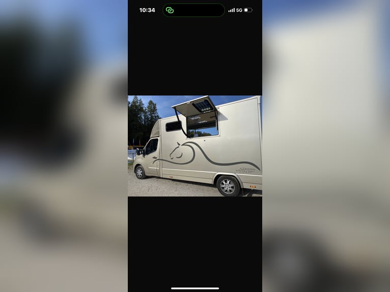 Renault Master Pferdetransporter-Erstzulassung 17.05.2023 !!TOP ZUSTAND!!