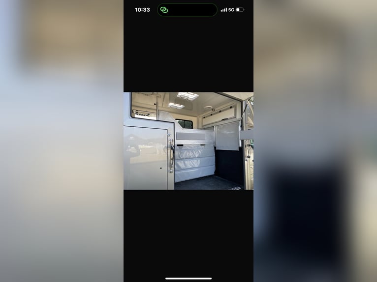 Renault Master Pferdetransporter-Erstzulassung 17.05.2023 !!TOP ZUSTAND!!
