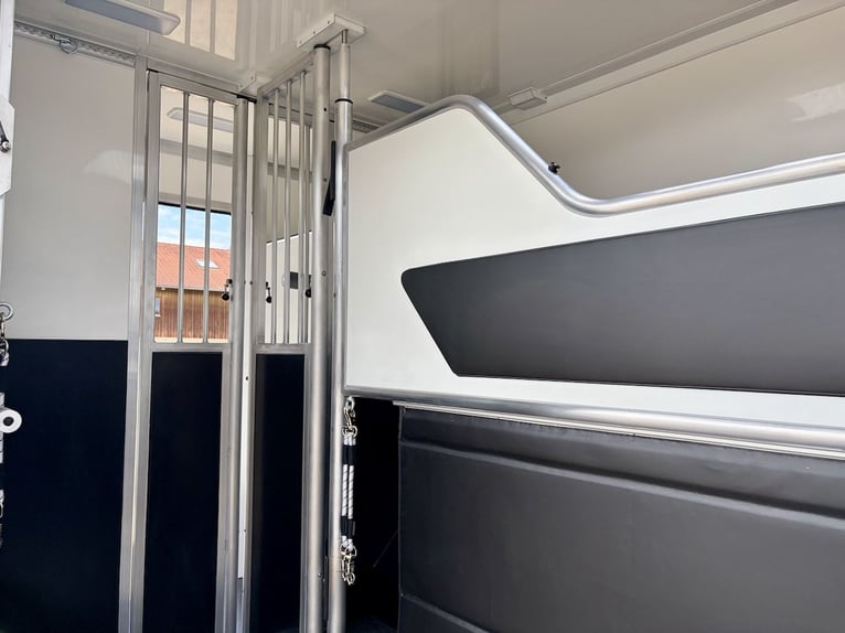 Renault Master RJH Sport 2-Horse Trailer – New Model with Automatic Transmission – Immediately Avail