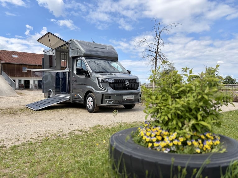 Renault Master RJH Sport 2-Horse Trailer – New Model with Automatic Transmission – Immediately Avail