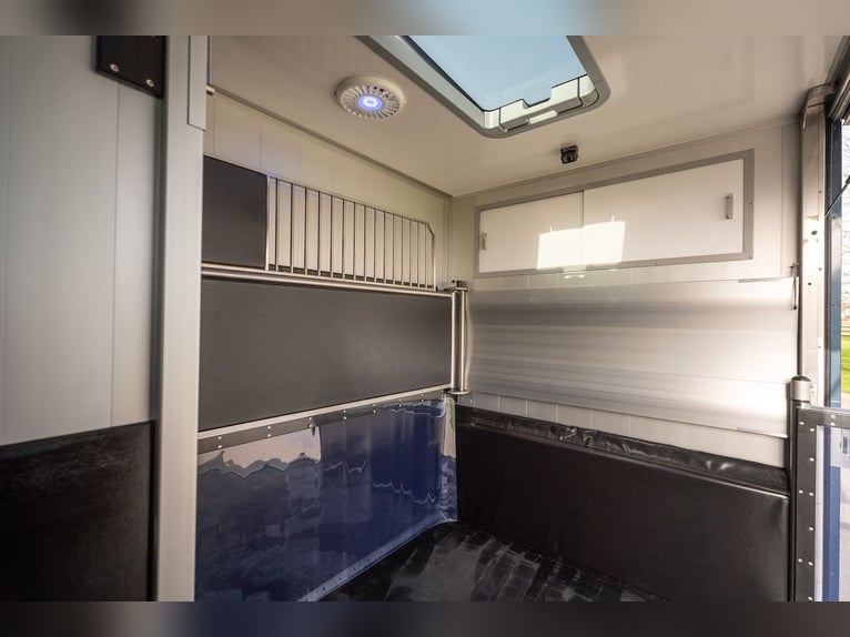 Renault Roelofsen Parados 2-Horse Trailer with Automatic Transmission, New Model 2026