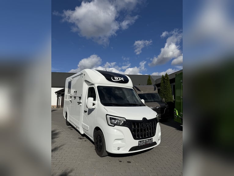 STX Horse Truck – Renault Master, Automatic, 180 HP