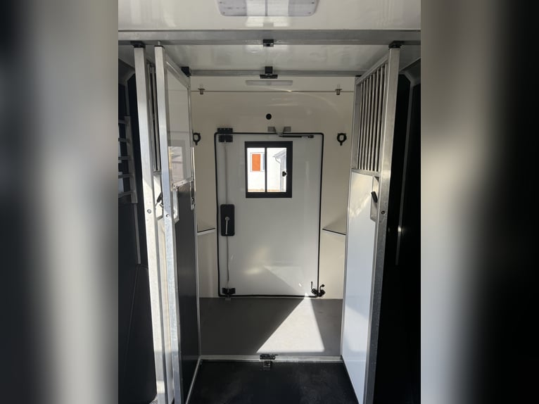 STX Horse Truck – Renault Master, Automatic, 180 HP