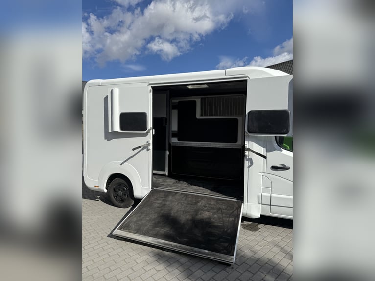 STX Horse Truck – Renault Master, Automatic, 180 HP
