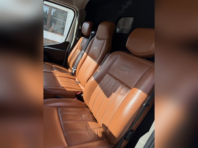 STX Horse Truck – Renault Master, Automatic, 180 HP