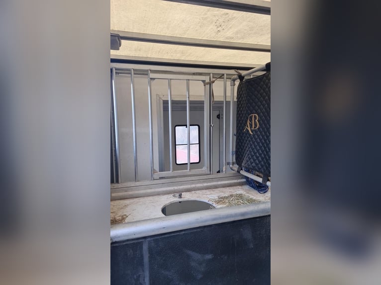 Transporter for 2 horses, Traylona Renault Master