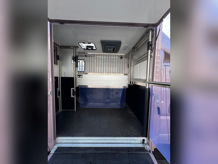 TVW Stallion Horse Transporter 3.5t – Citroën Jumper – Only 18,600 miles – New TÜV – Roof Air Condit