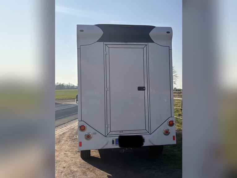 Two-Pony Horse Transporter, 3.5-ton Truck