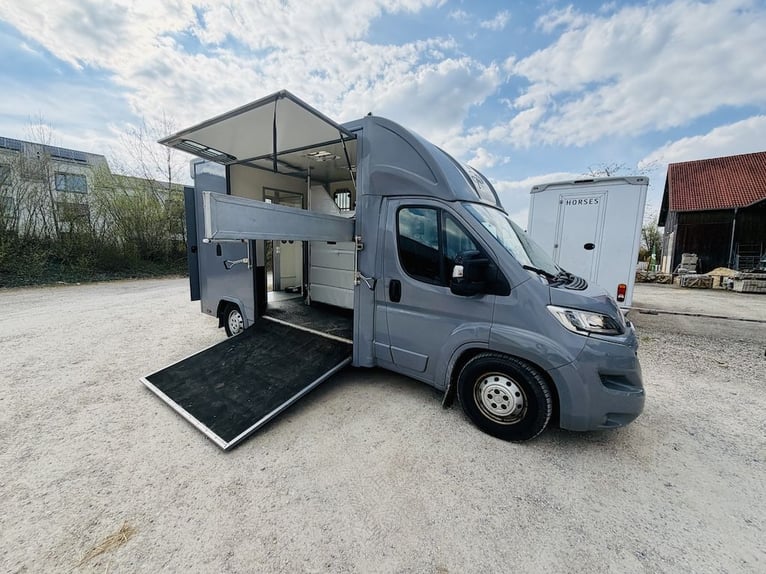 Used Citroën Jumper 2-Horse Transporter, 3-Seater