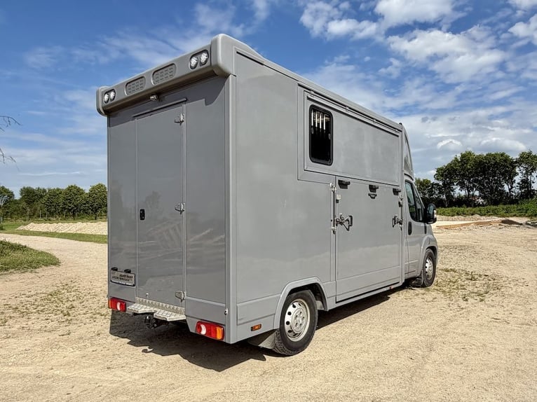 Used Citroën Jumper 2-Horse Transporter, 3-Seater