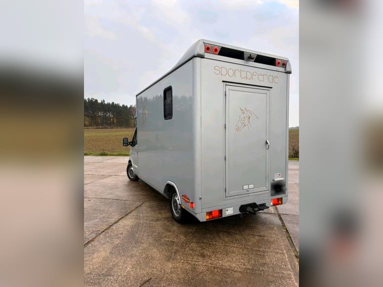 Used Renault Master horsebox for sale