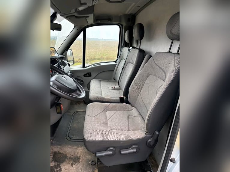 Used Renault Master horsebox for sale