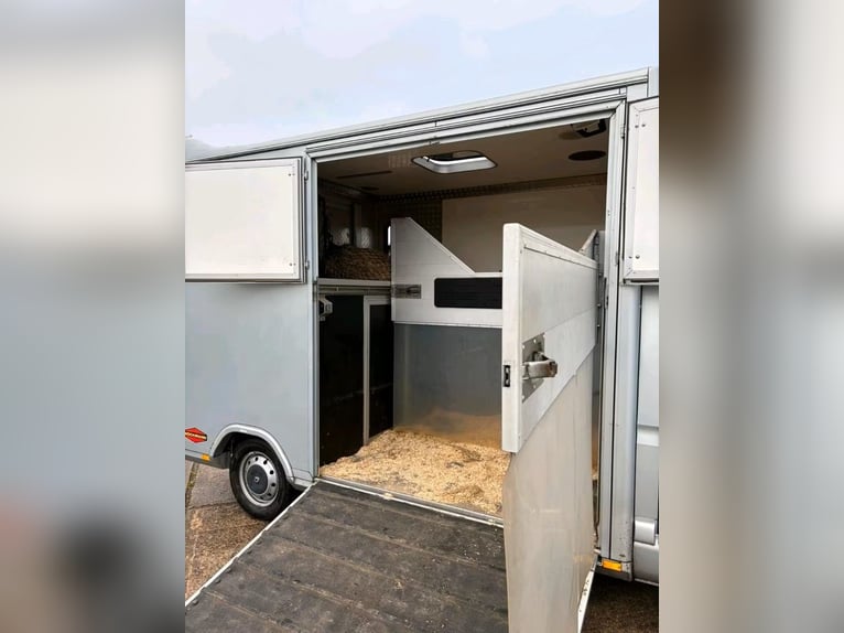 Used Renault Master horsebox for sale
