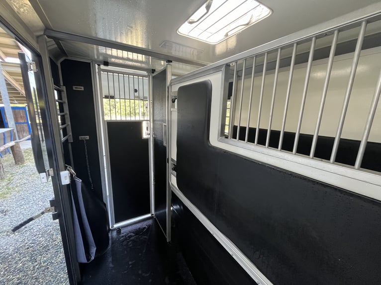 VAN CAVALLI STX 7NRVA MASTER HORSEBOX (usato pochissimo!!!)