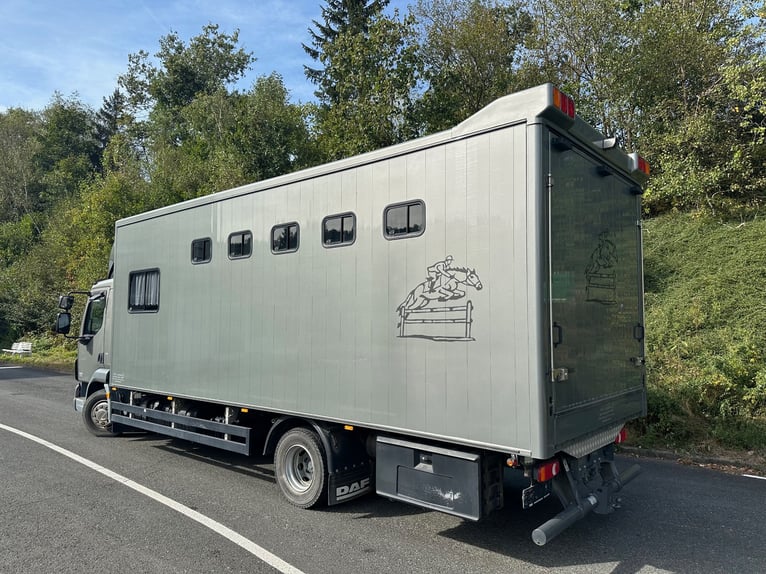 DAF Pferdetransporter, 5 Pferde, Wohnabteil, zGG 11.990 kg, EHC GERMAN COACHBUILDERS