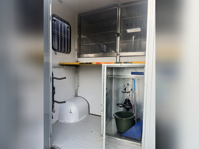 Excellent horse transporter Renault MTM