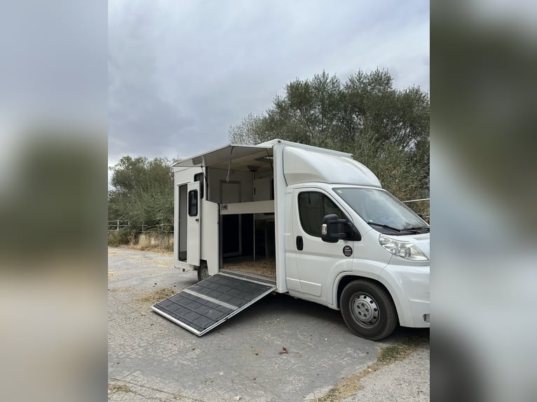 FURGONETA PARA 2 CABALLOS