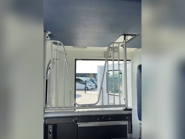 Horse Transport Vehicle Renault Theault