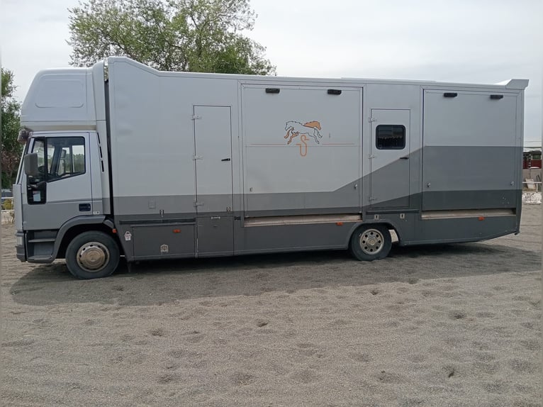 Horsebox with living quarters for 6 horses