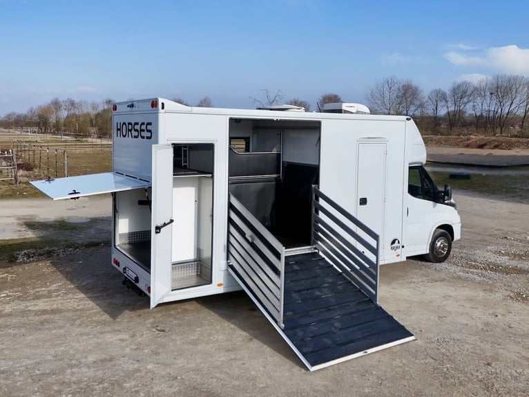 Iveco Daily RJH Sport Pro H2 for 2 horses with living cabin, WC, and shower – Used truck