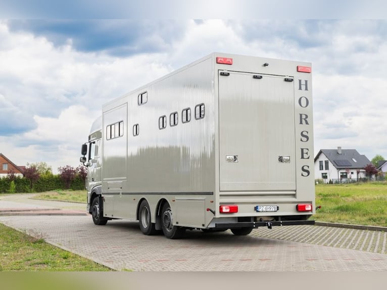 Koniowóz DAF XF 480 / EURO 6 / zabudowa specjalna na 4 KONIE