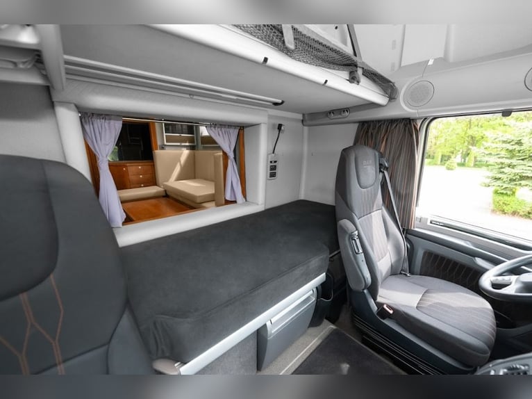 Koniowóz DAF XF 480 / EURO 6 / zabudowa specjalna na 4 KONIE