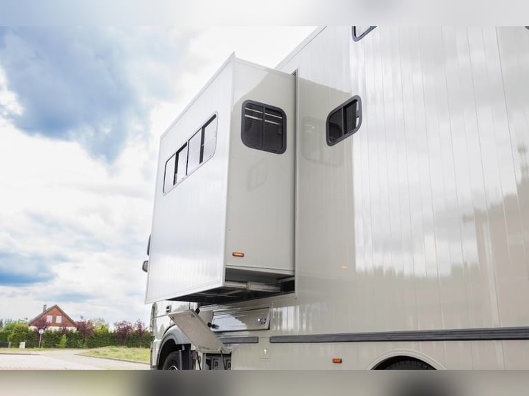 Koniowóz DAF XF 480 / EURO 6 / zabudowa specjalna na 4 KONIE