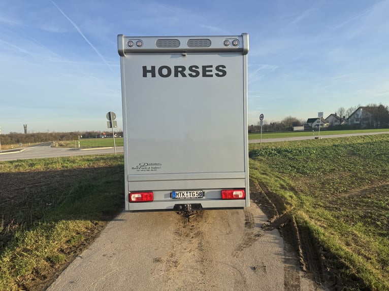 Crafter 50 Dickenherr Horse Transporter