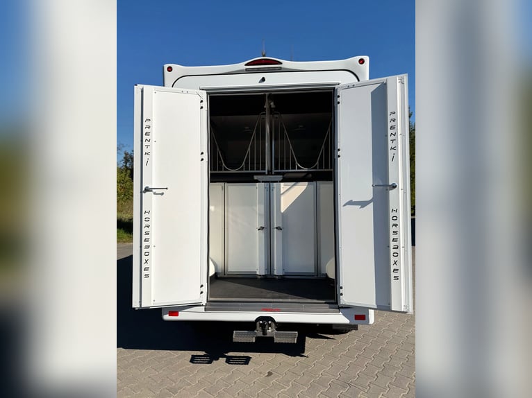 FIAT DUCATO / Foals