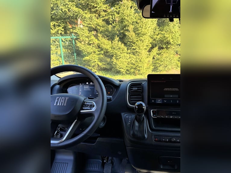 FIAT DUCATO / Foals