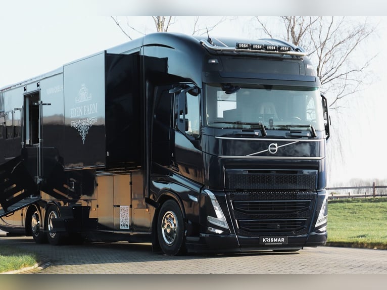 For sale: Volvo truck with 5 horses, 560 HP, fully equipped