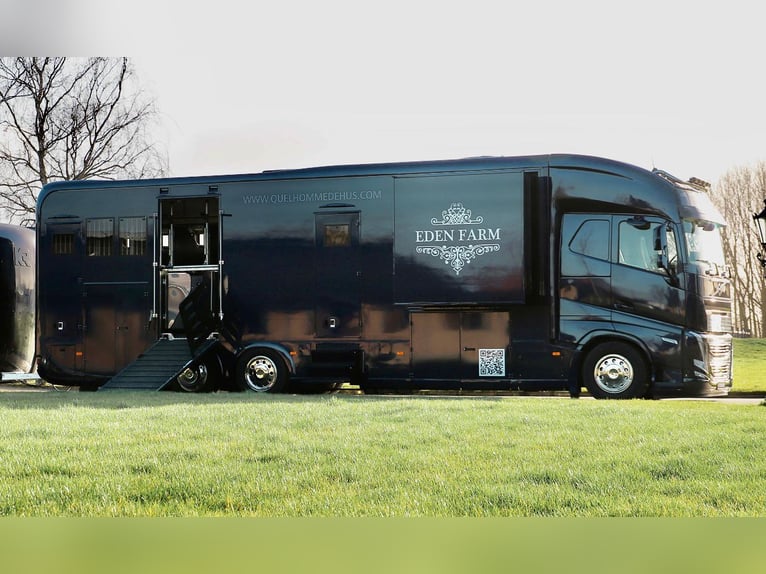 For sale: Volvo truck with 5 horses, 560 HP, fully equipped