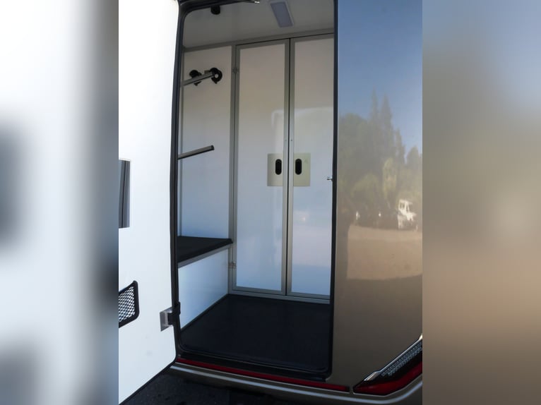 FORD Sodiak horse transporter with driver’s cabin