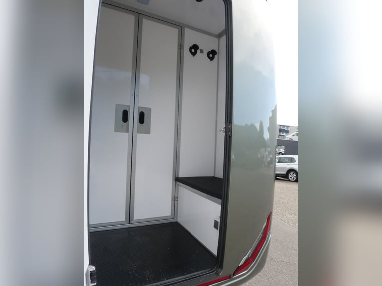 FORD Sodiak Luxury Horsebox Self-Drive Horse Transporter