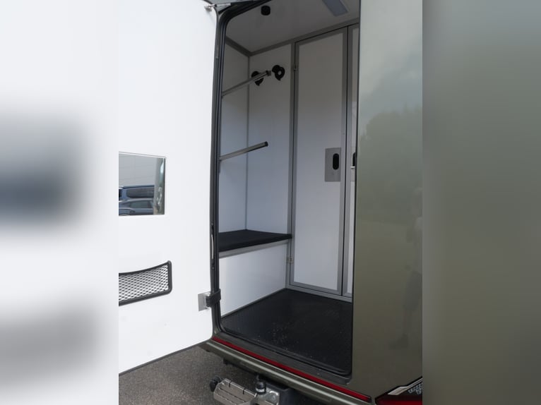 FORD Sodiak Luxury Horsebox Self-Drive Horse Transporter