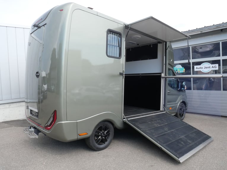 FORD Sodiak Luxury Horsebox Self-Drive Horse Transporter