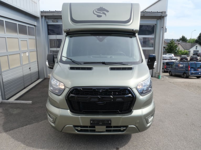 FORD Sodiak Luxury Horsebox Self-Drive Horse Transporter