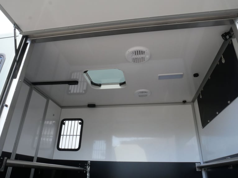 FORD Sodiak Luxury Horsebox Self-Drive Horse Transporter